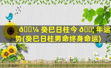 🐼 癸巳日柱今 🐦 年运势(癸巳日柱男命终身命运)